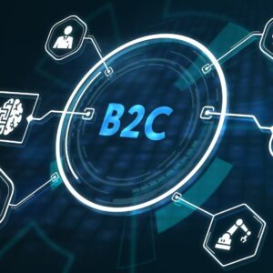 b2c-service-type-of-platform